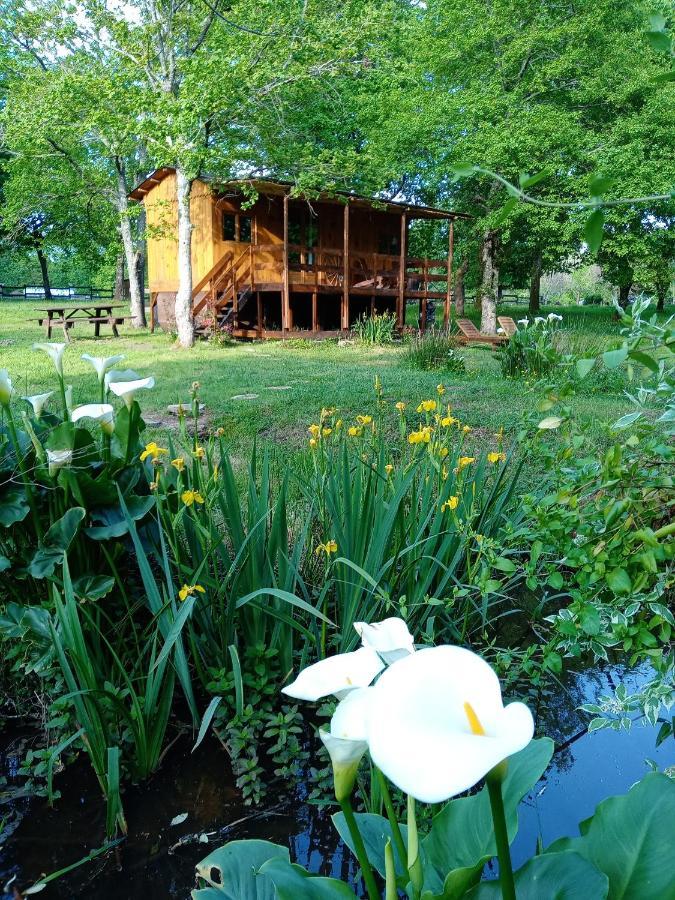 Le Ranch Amadeus Bed & Breakfast Saint-Paul-en-Born Exterior photo
